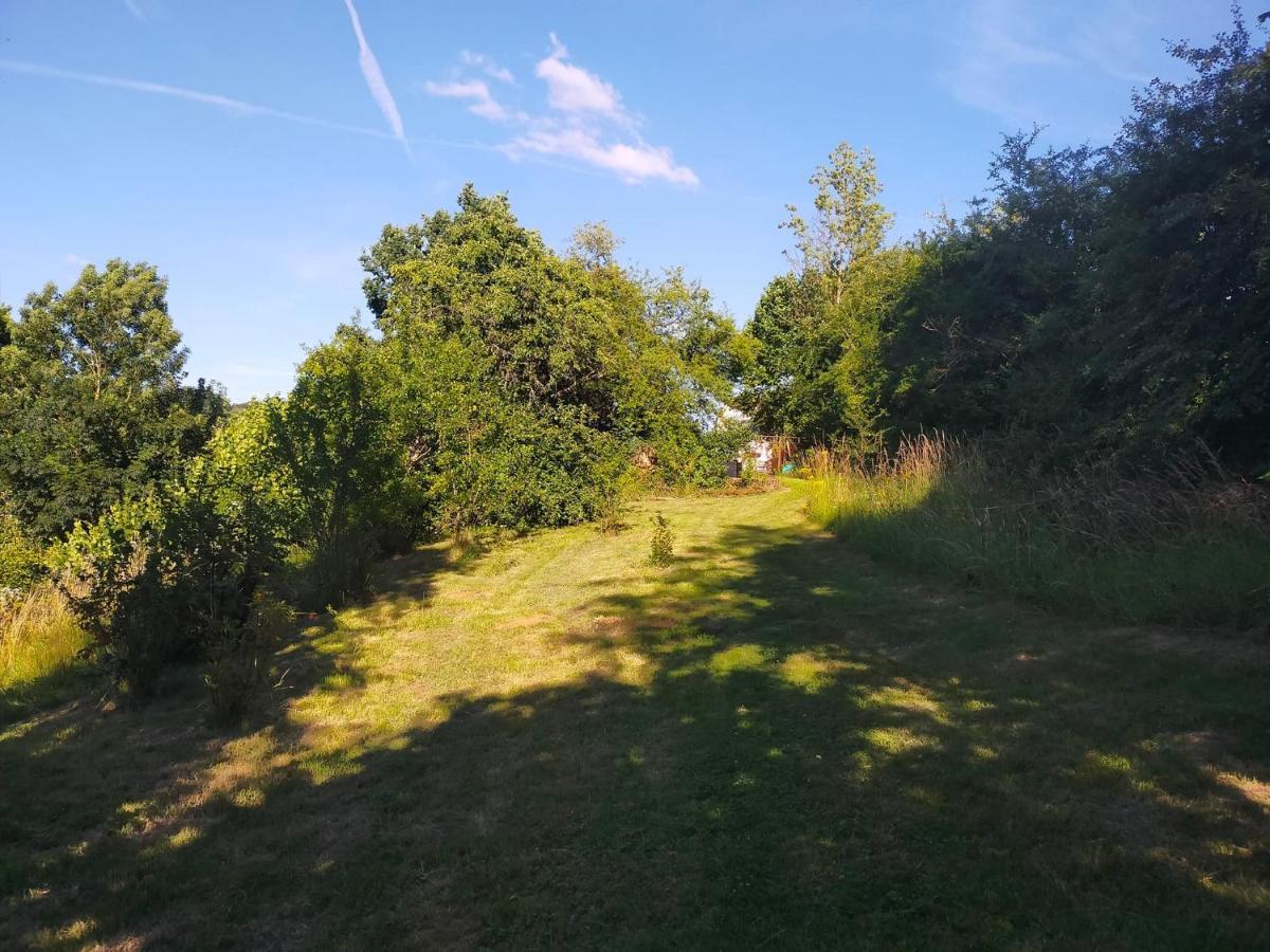 Tiny Messancy, Une Immersion Dans La Nature ! Eksteriør billede